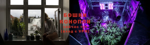 крисы Нестеровская