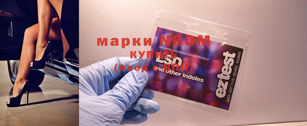 крисы Нестеровская