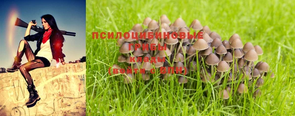 дживик Волгодонск