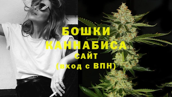 крисы Нестеровская