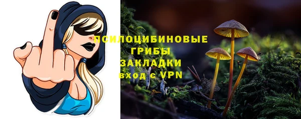 первитин Калининец