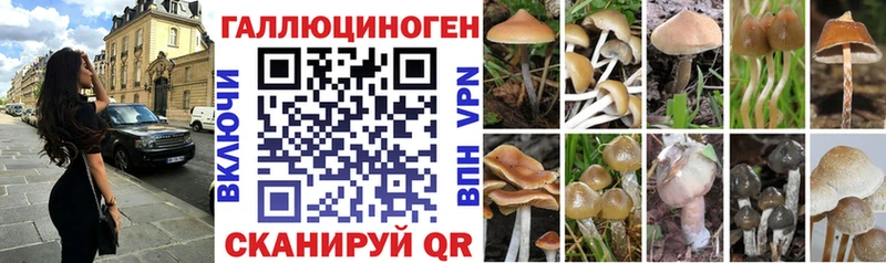 Псилоцибиновые грибы мицелий  hydra ссылка  Белёв 